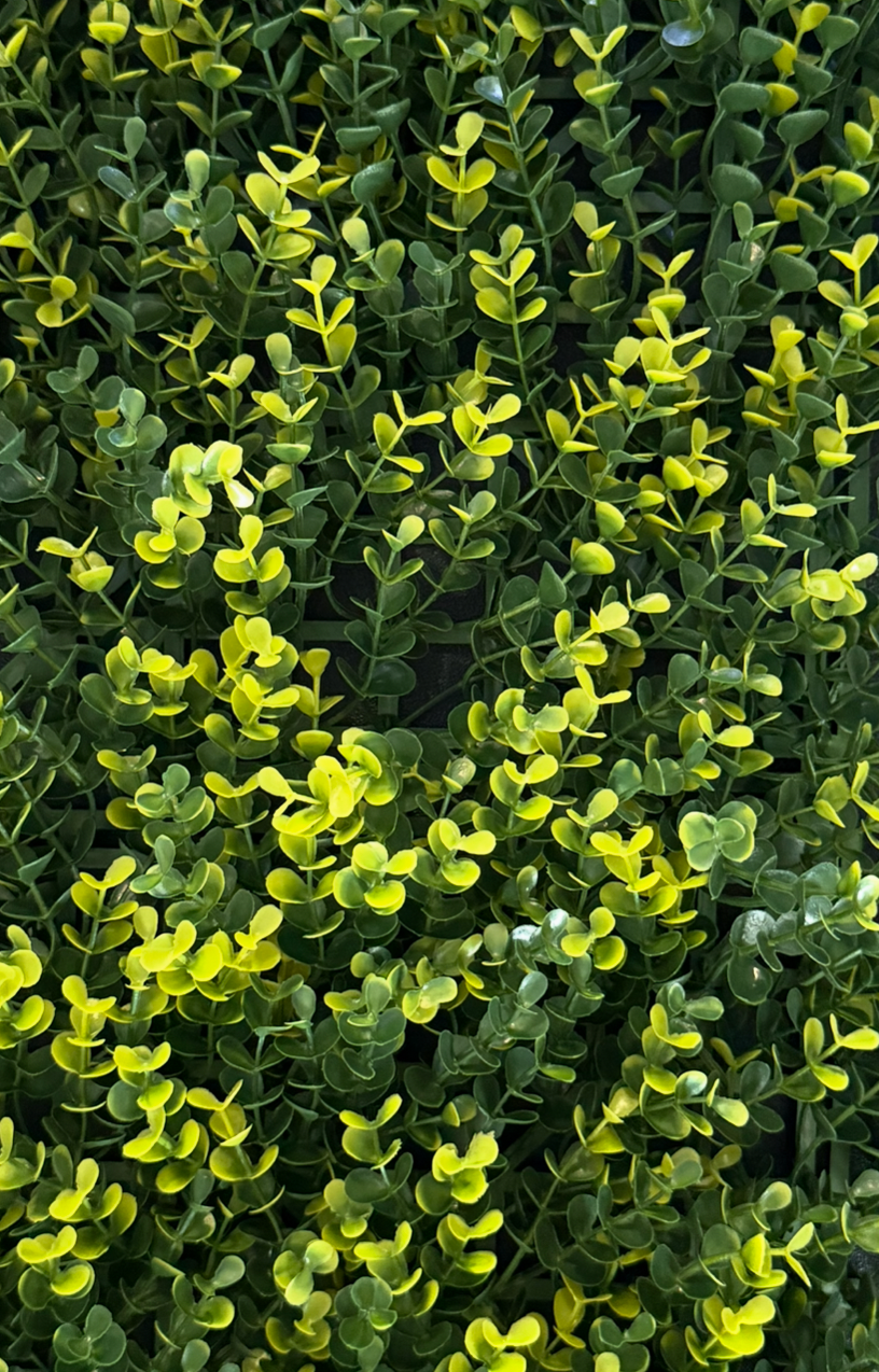 Follaje Artificial Boxus Mix