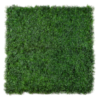 Follaje Artifical Boxus Jade