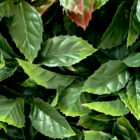 Follaje Artificial Laurel Rojo