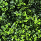 Follaje Artificial Selva