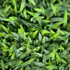 Follaje Artificial Zacatillo