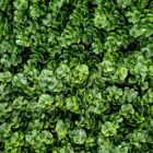 Follaje Artificial Cotilla