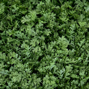 Follaje Artificial Premium Sabina