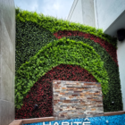 Follaje Premium Helecho Persa, Lechuguilla & Cherry