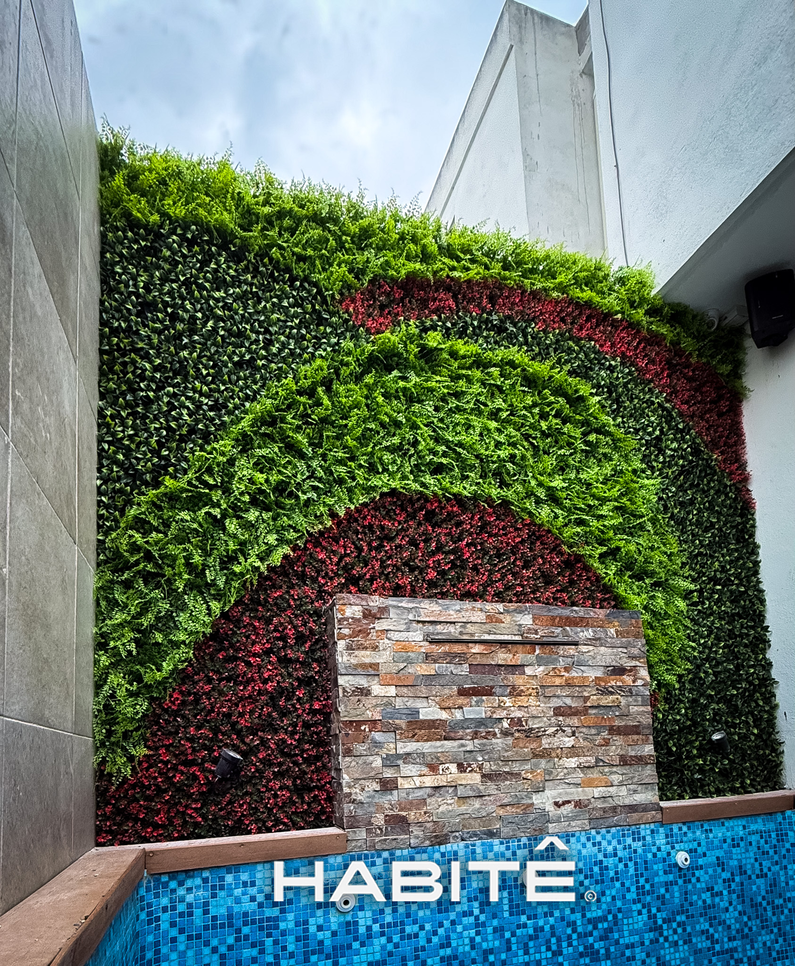 Follaje Premium Helecho Persa, Lechuguilla & Cherry