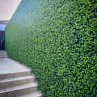 Follaje Artificial Premium Enredadera